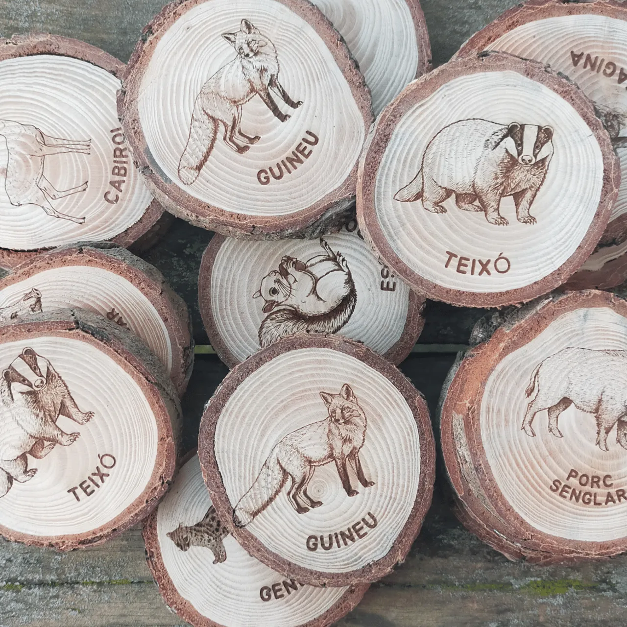 natural pine wood slice test grid