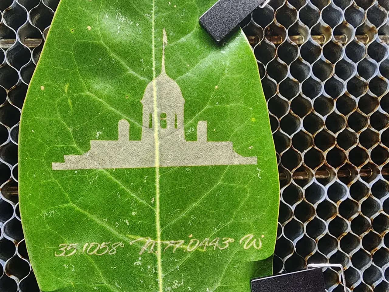 Leaf test grid