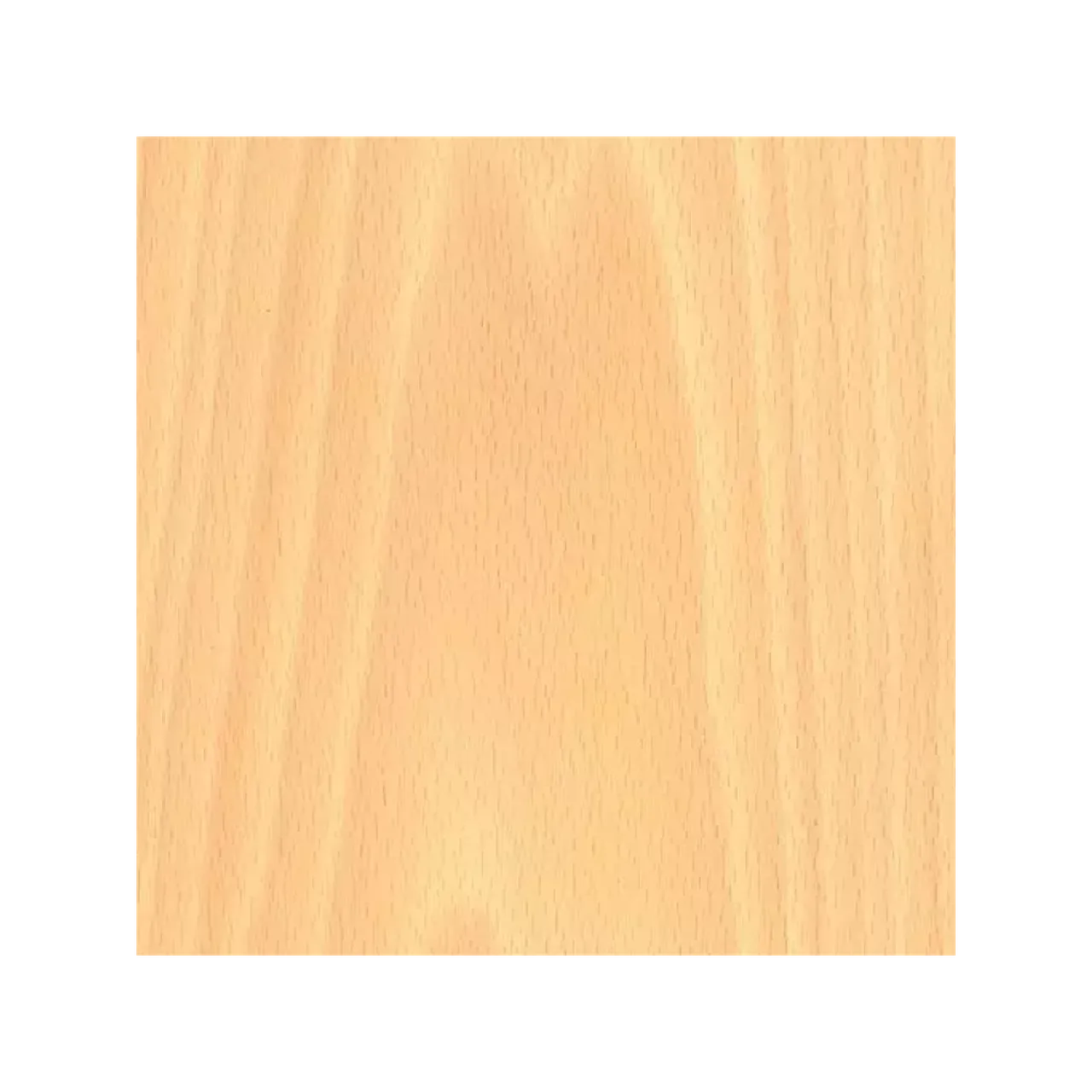 Varnished Beechwood