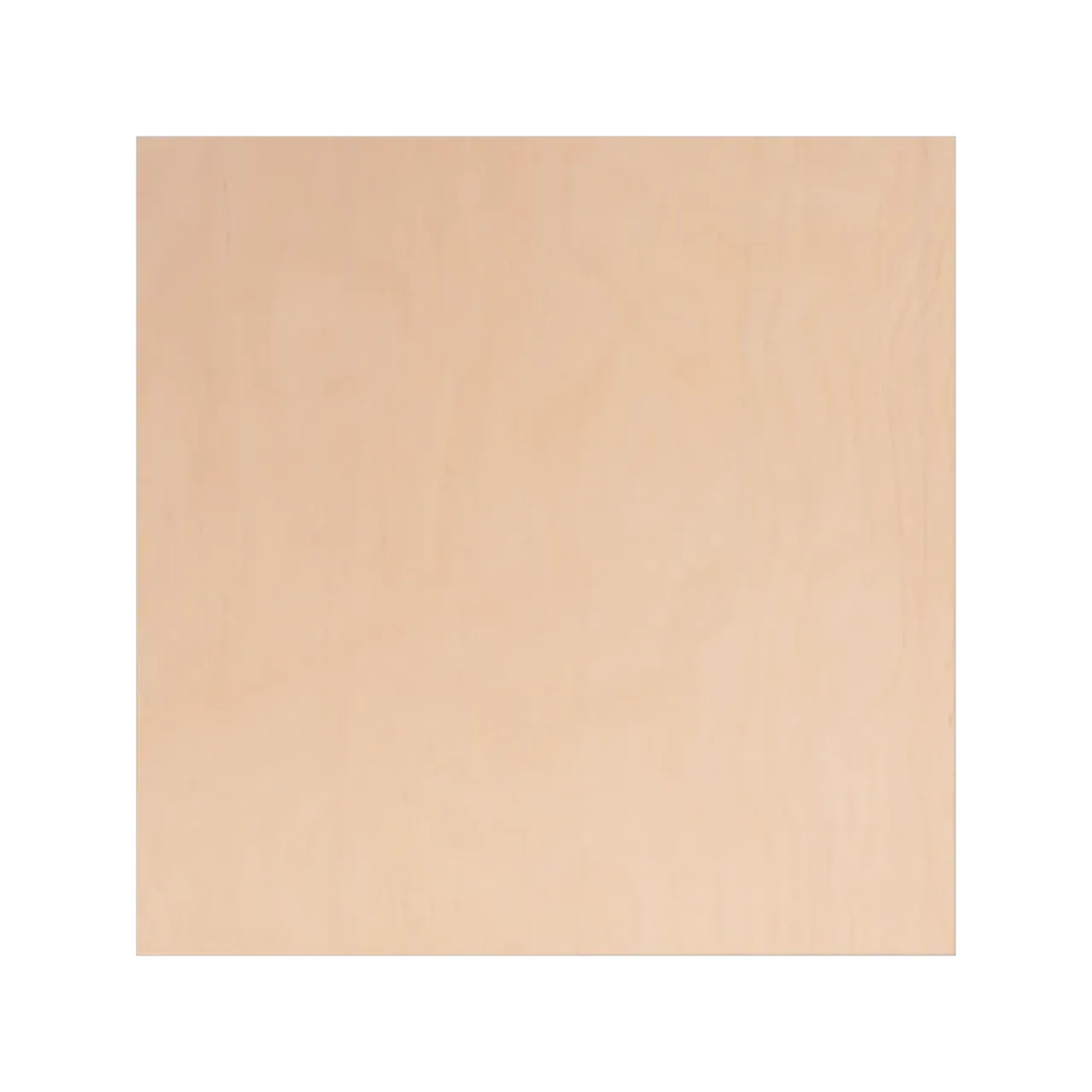 Birch Wood