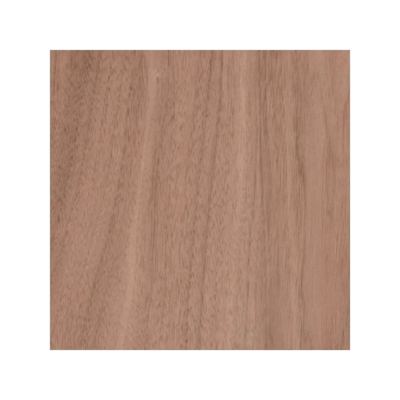 45/64"(18mm) Walnut Plywood