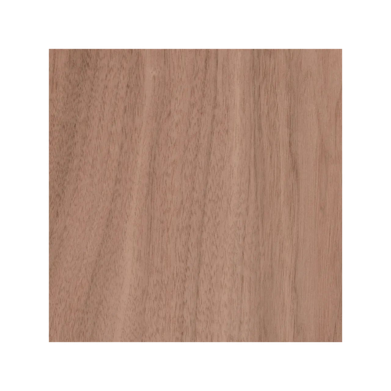 1/8"(3mm) Walnut Plywood