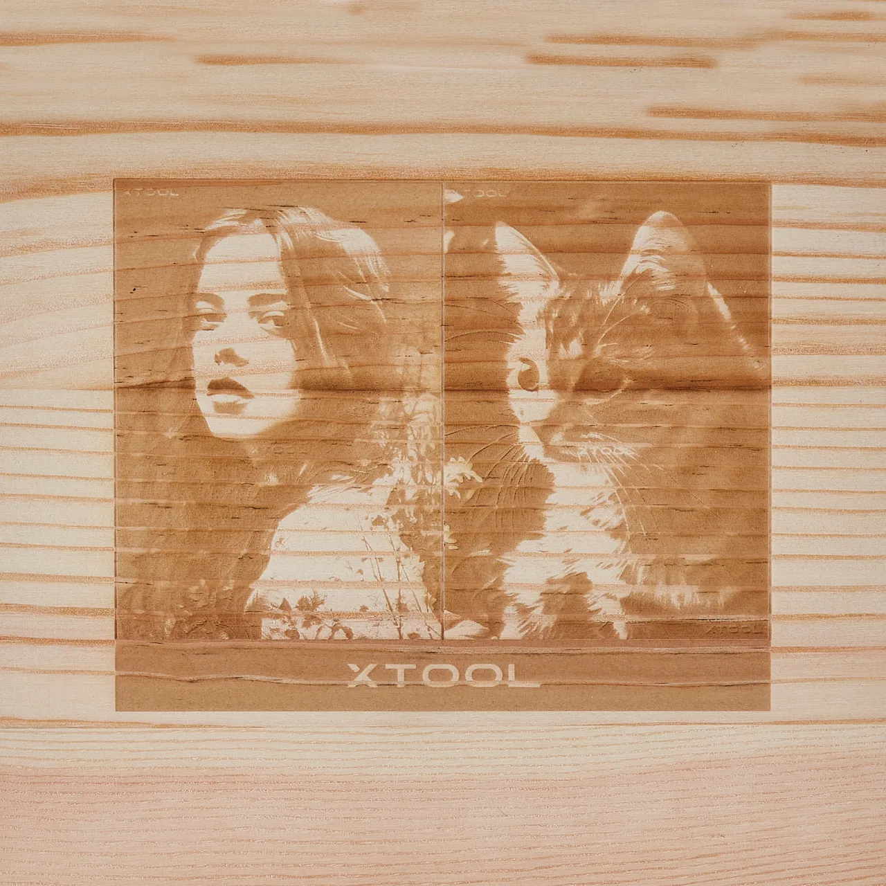 Pine Wood test grid