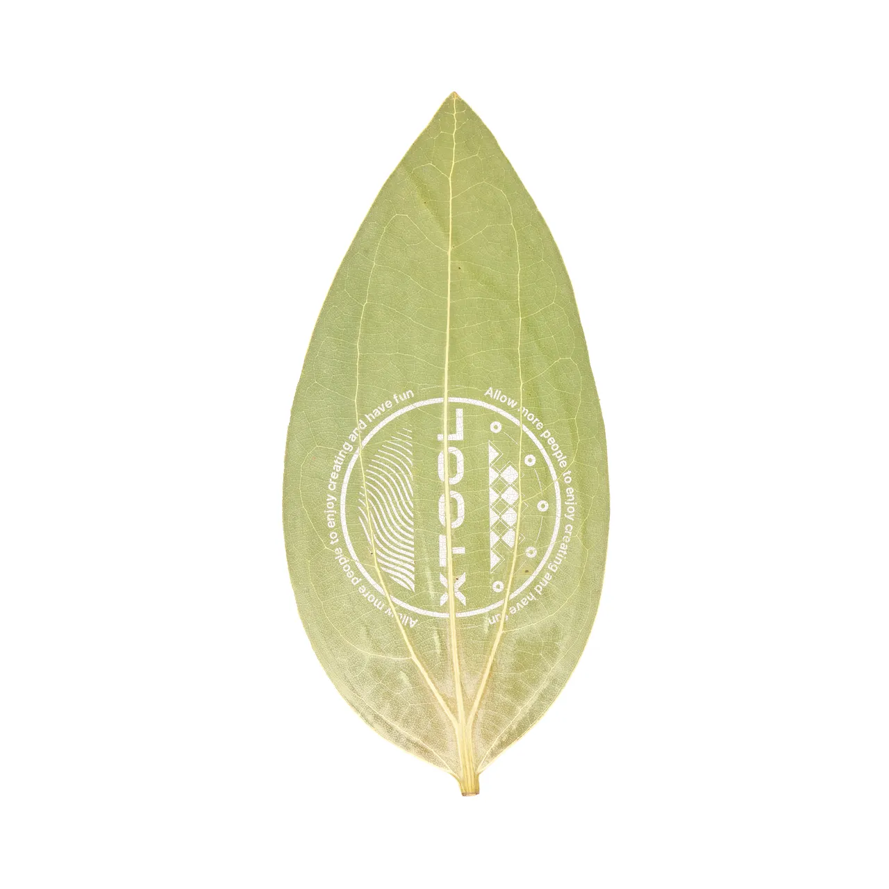 Cinnamon Leaf test grid
