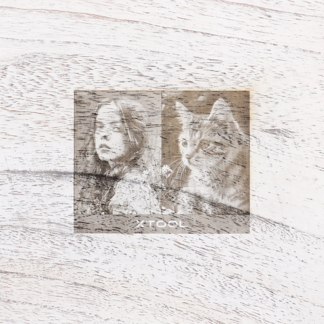 Distressed White Painted Paulownia Wood test grid