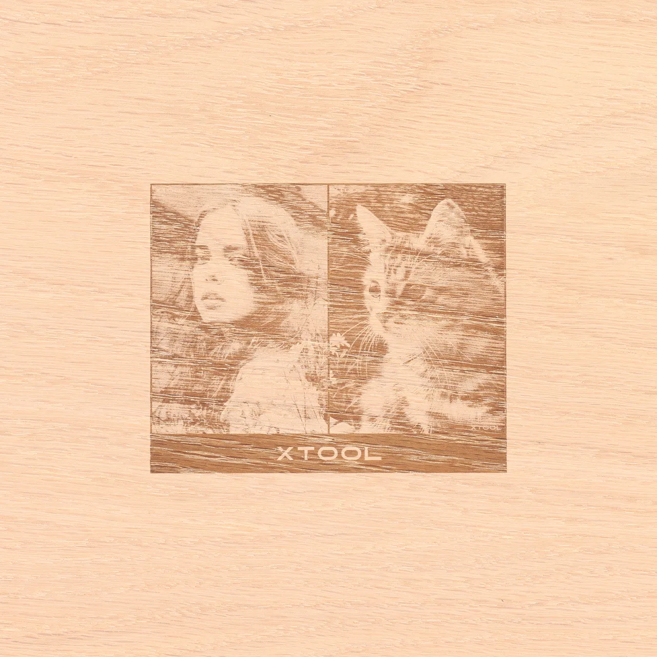 1/4"(6mm) Red Oak Plywood test grid