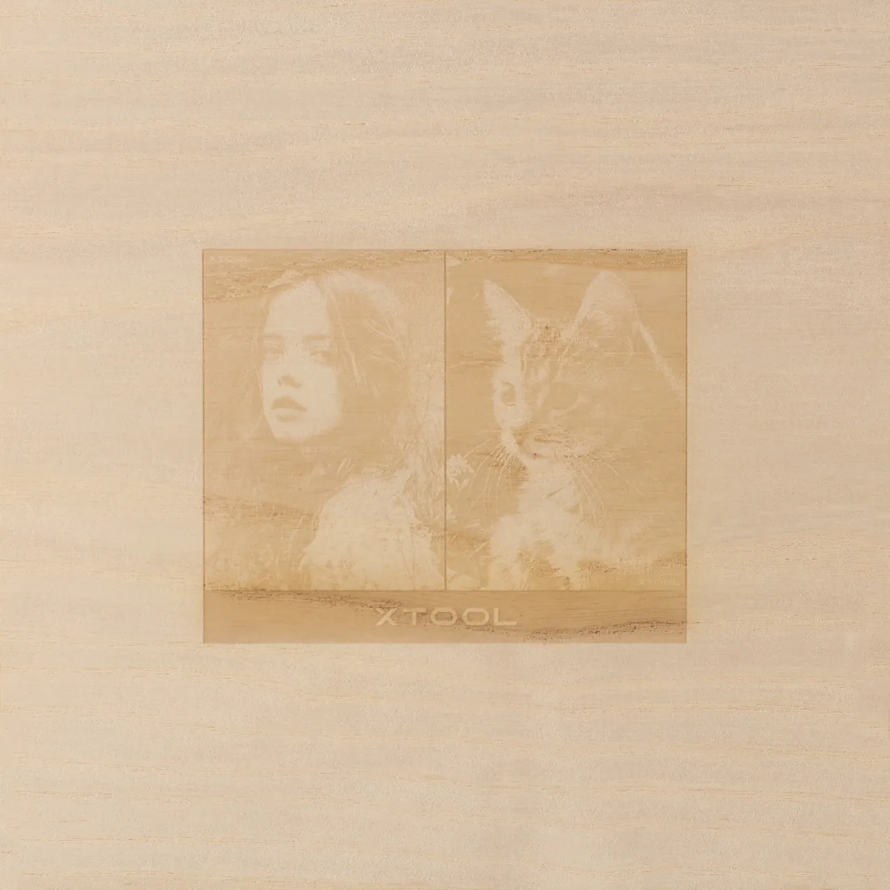 1/4"(6mm) White Ash Plywood test grid