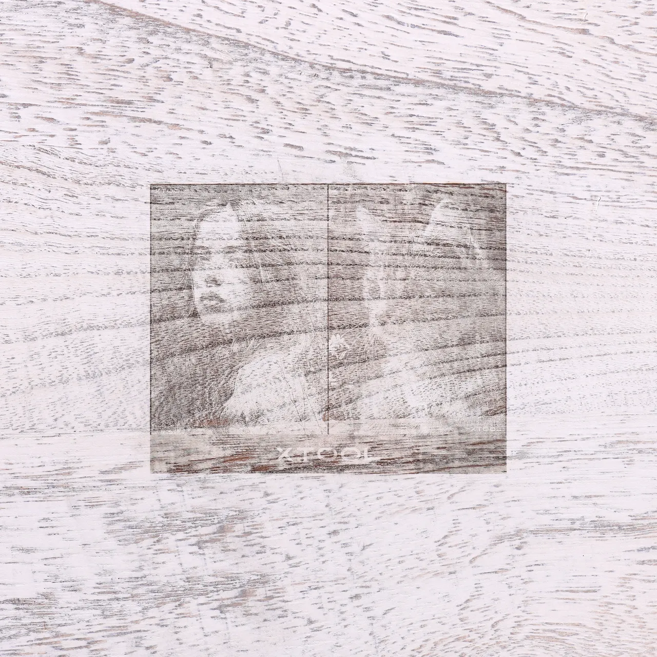 Distressed White Painted Paulownia Wood test grid