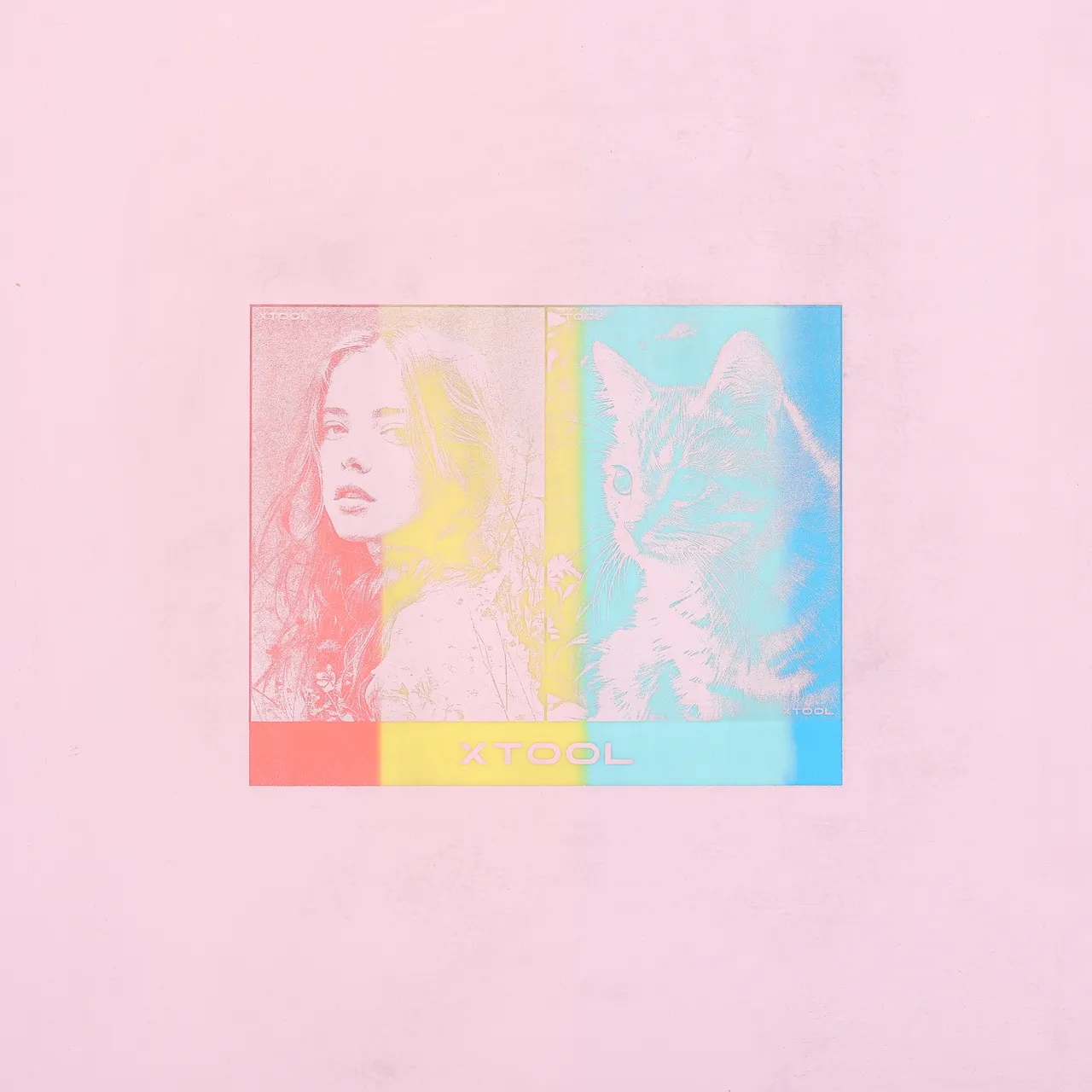 Pink to Rainbow Silicone test grid
