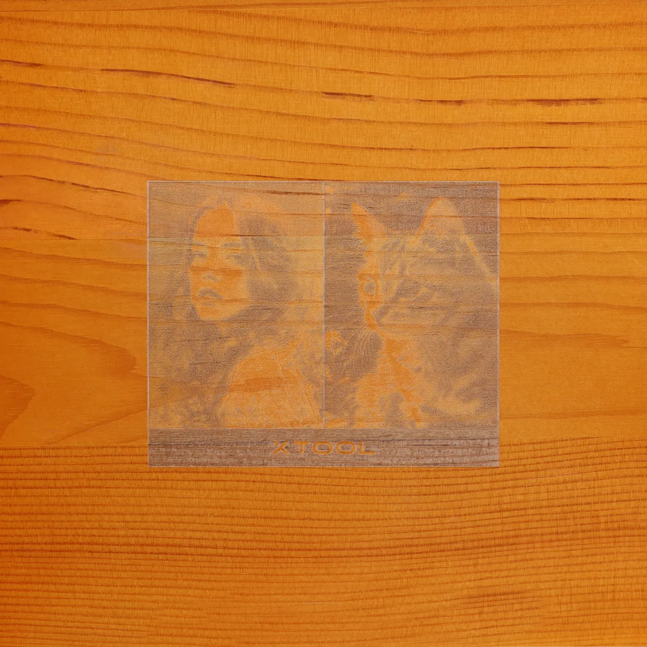 Wood Color Painted Pine Wood test grid