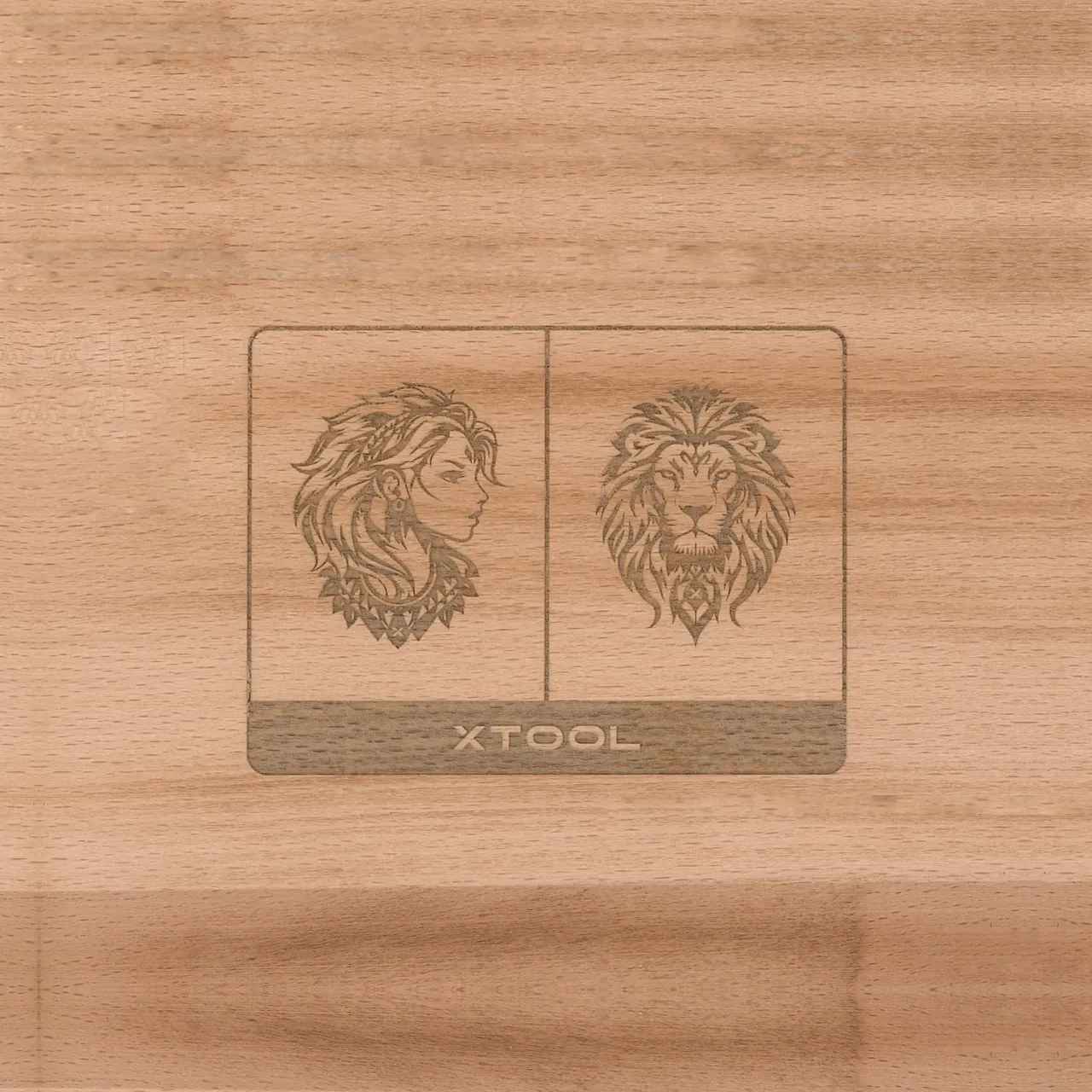 Carbonized Beech Wood test grid