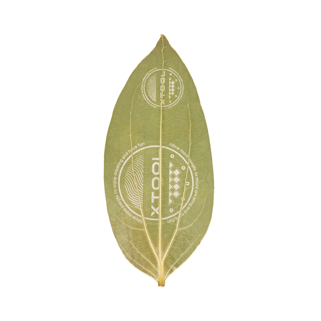 Cinnamon Leaf test grid