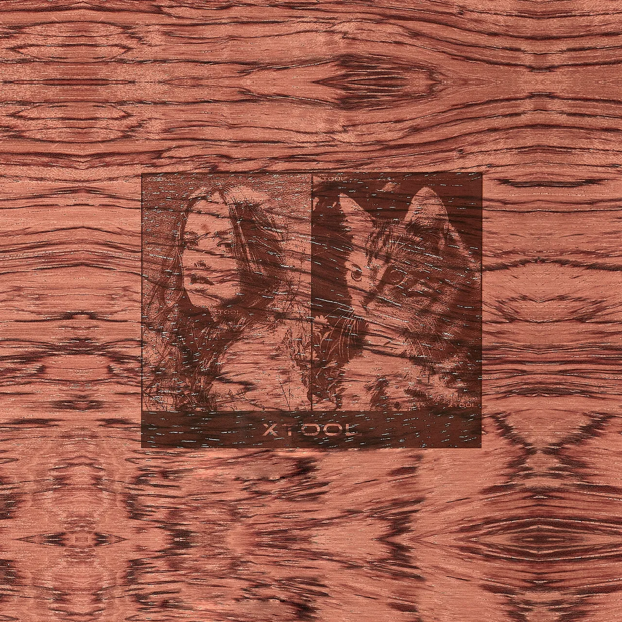 1/4"(6mm) Technological Plywood test grid