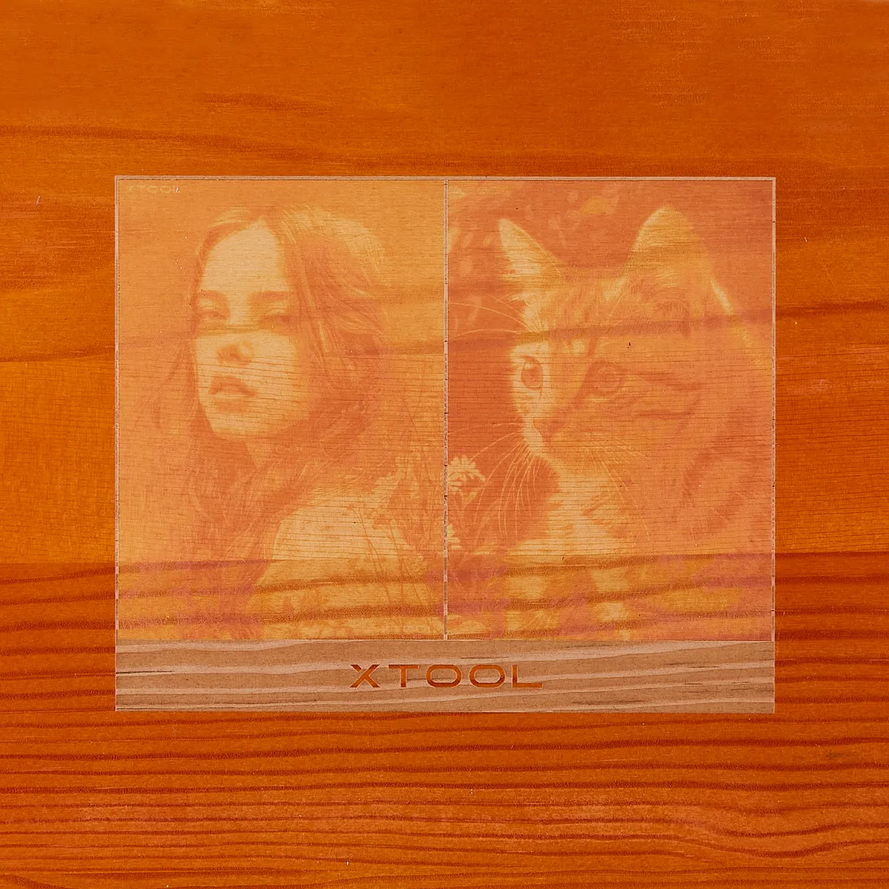 Wood Color Painted Pine Wood test grid