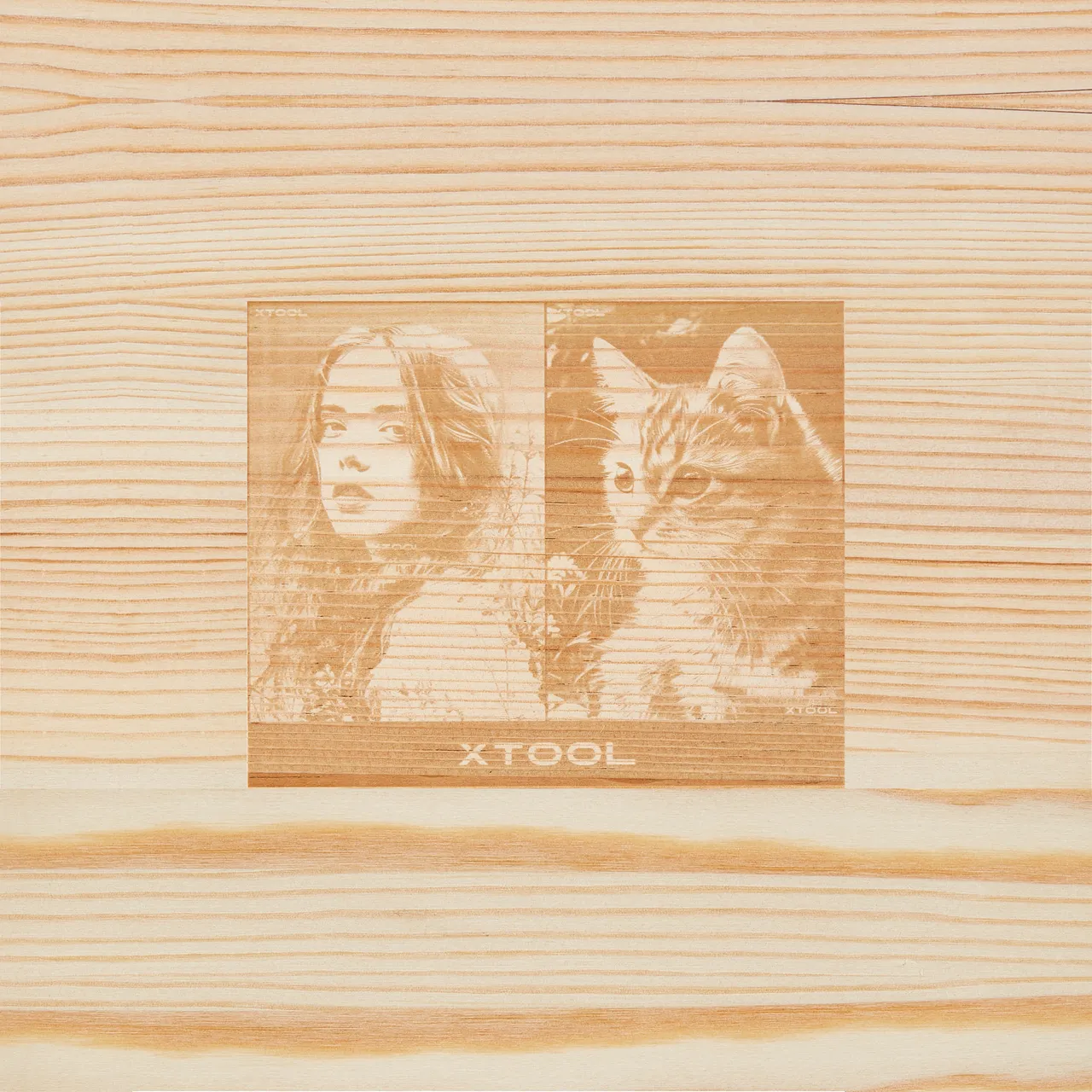 Pine Wood test grid
