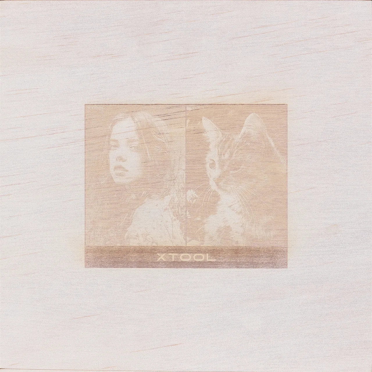 1/2"(12mm) Pine Ponderosa Plywood test grid