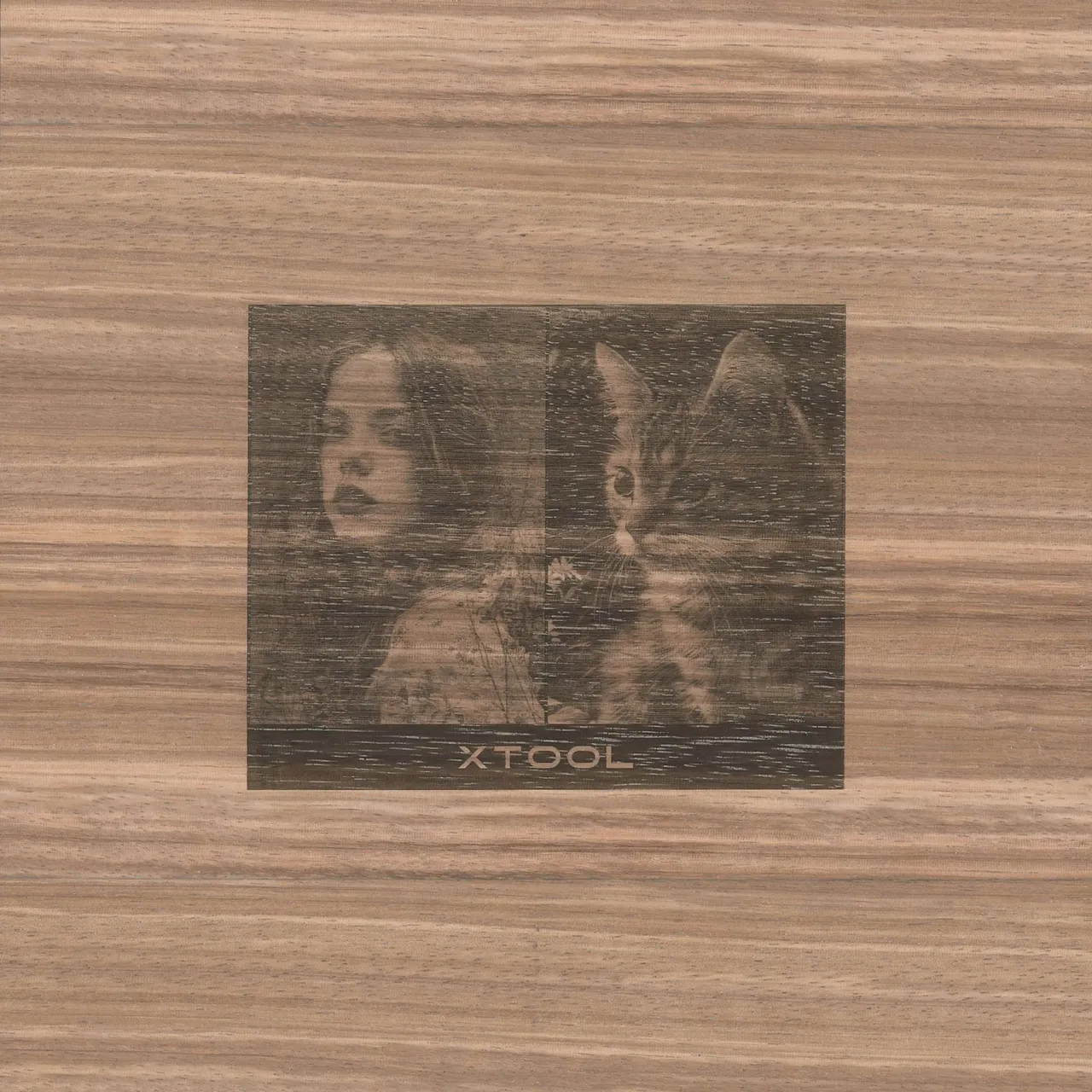 1/8"(3mm) Ebony Plywood test grid