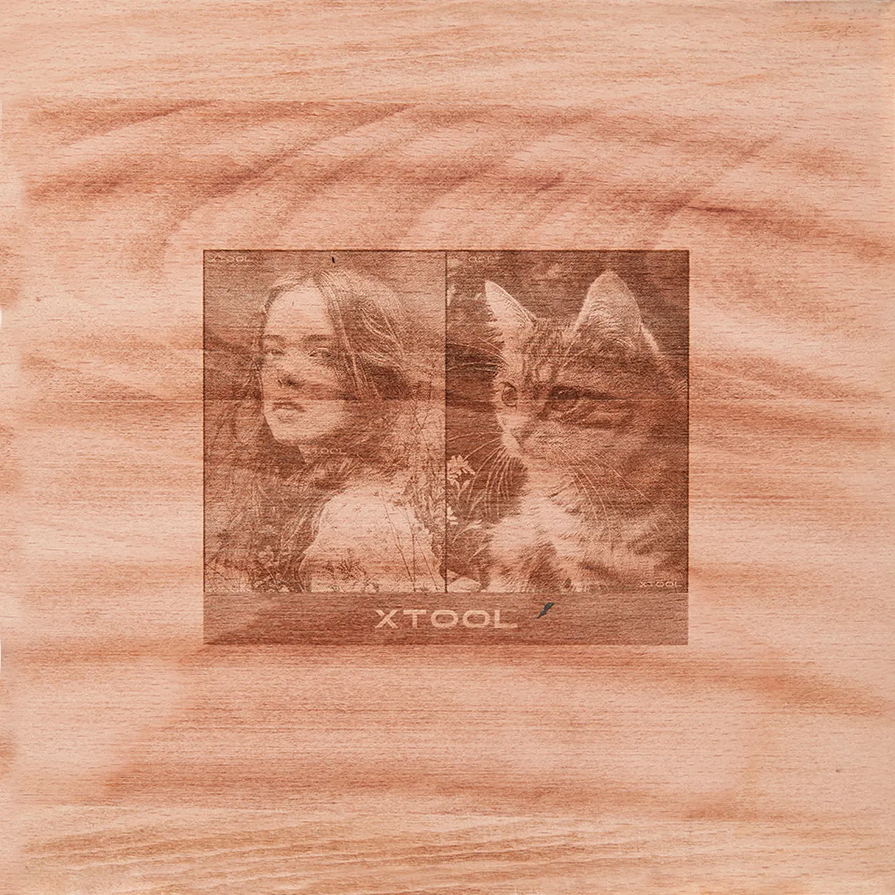 Carbonized Beech Wood test grid