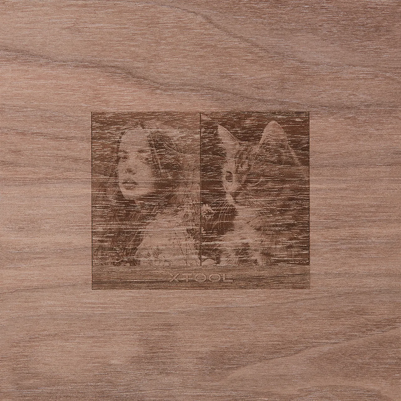 45/64"(18mm) Walnut Plywood test grid